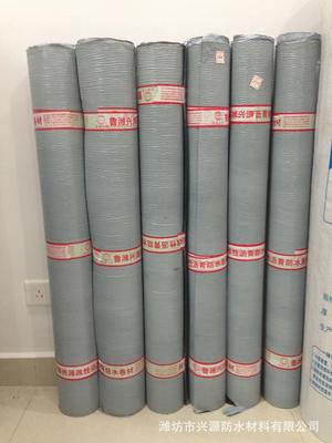 兴源防水材料 专业TPO内增强型夹筋内根穿刺 自粘防水卷材图片_高清图_细节图