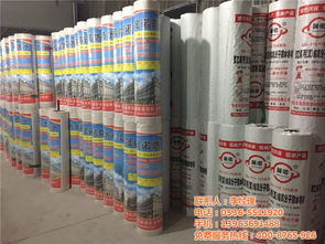 丙纶防水卷材 晟诺防水厂的专业施工与应用